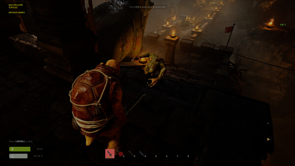 Screenshot z Multiplayer Turtles