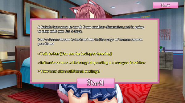 My Unusual Feline Friend.