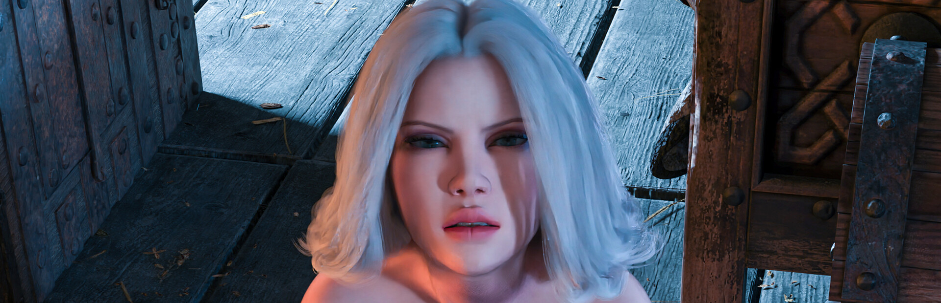 How to Tame a Succubus