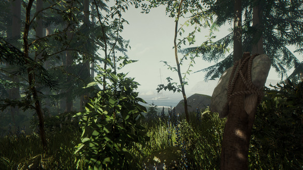 The Forest screenshot