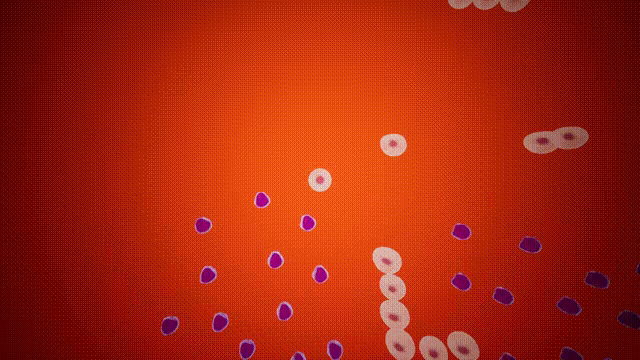 FlippedDream video 6