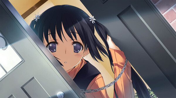 WHITE ALBUM: Memories like Falling Snow.