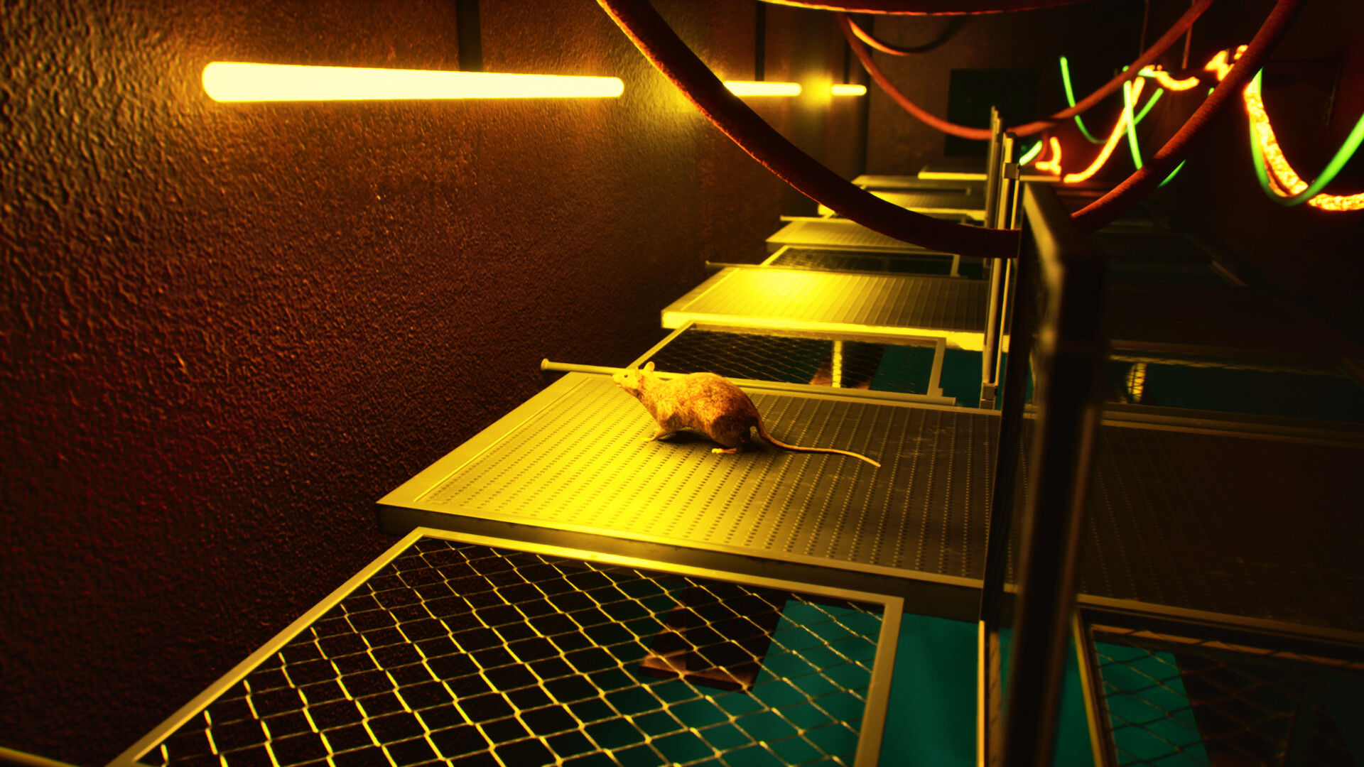 Deep Loop screenshot #9