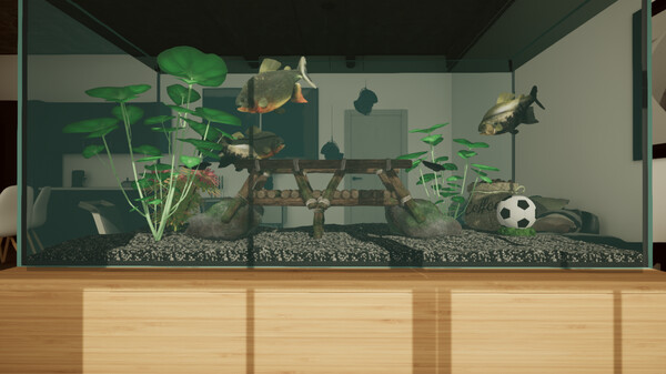 Aquarium Designer - Amazonia.