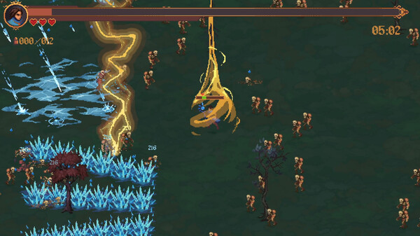 Arcane Tower Survivors.