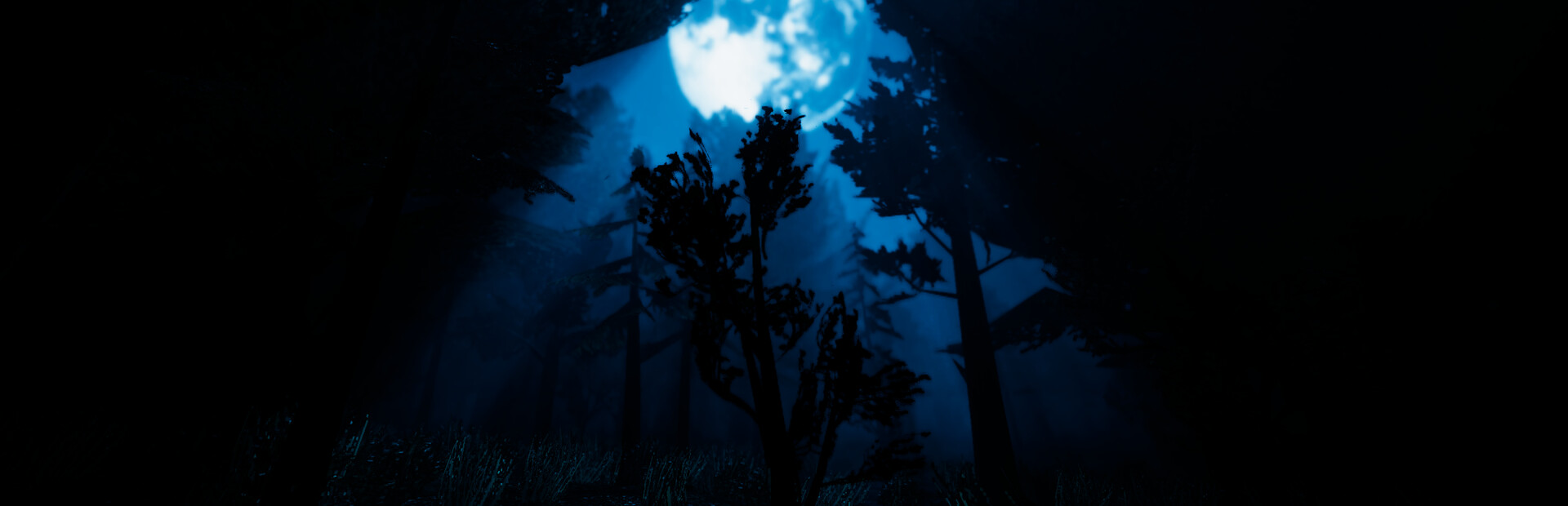 Blue Ridge Hunting