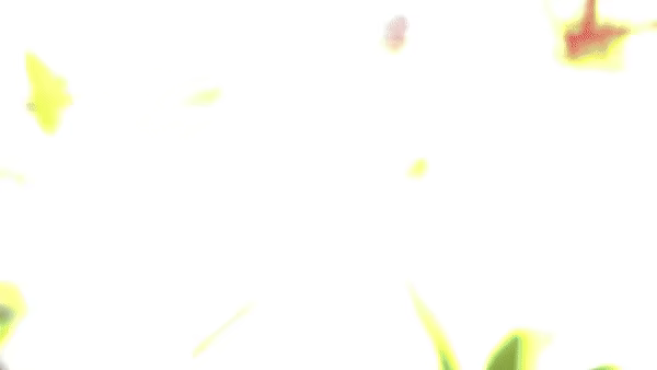 Degenheim video 8