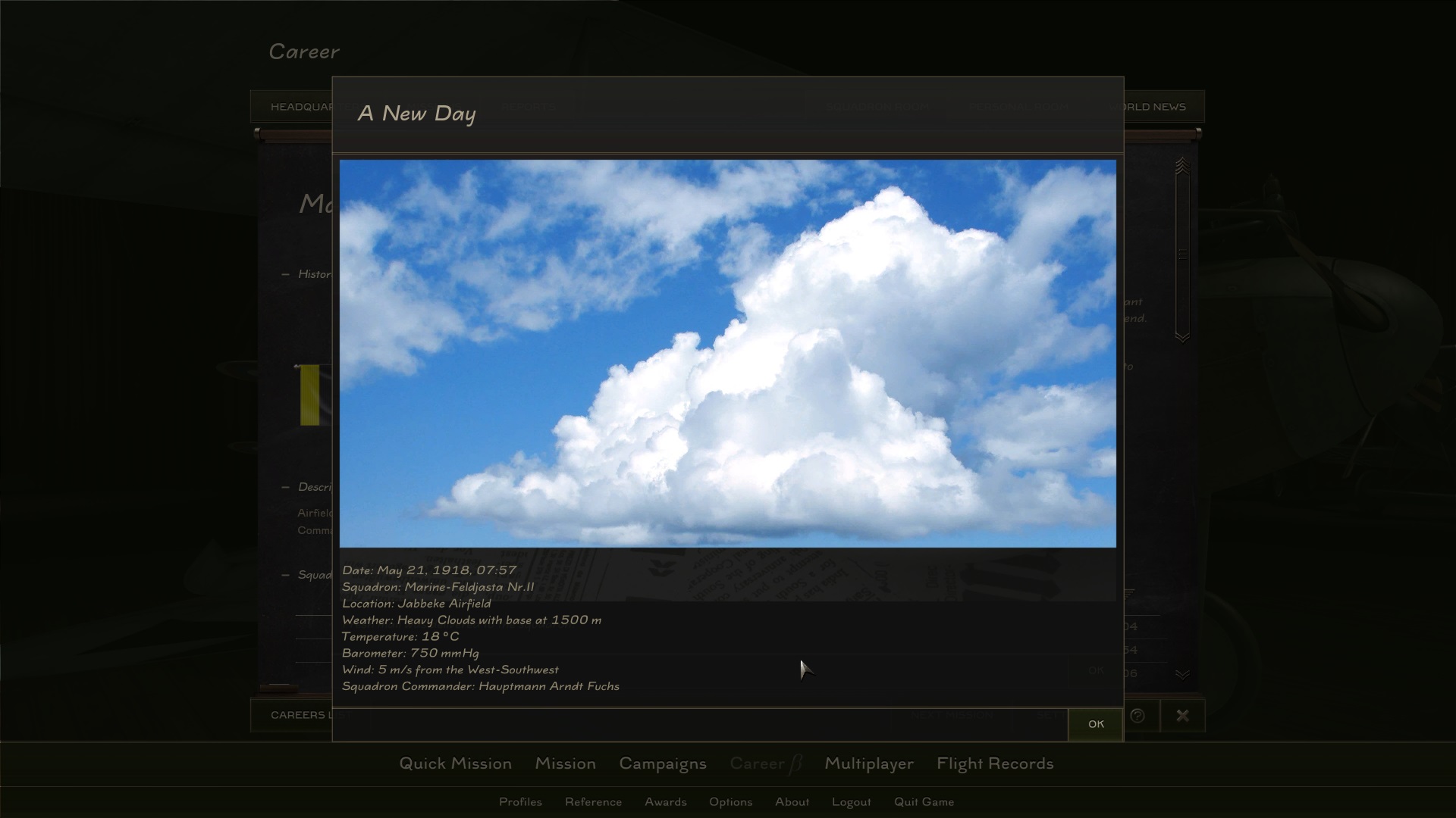 Rise of Flight United screenshot 18