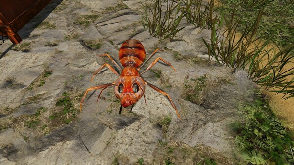 MAX Creatures of the Apocalypse