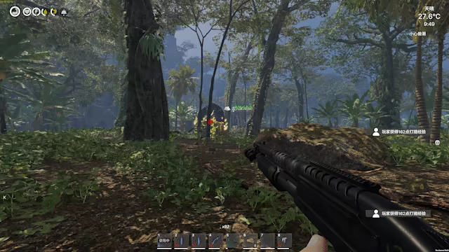Island Notes video 3