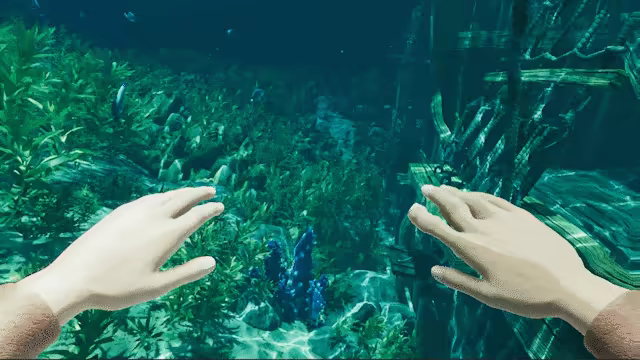 Island Notes video 5