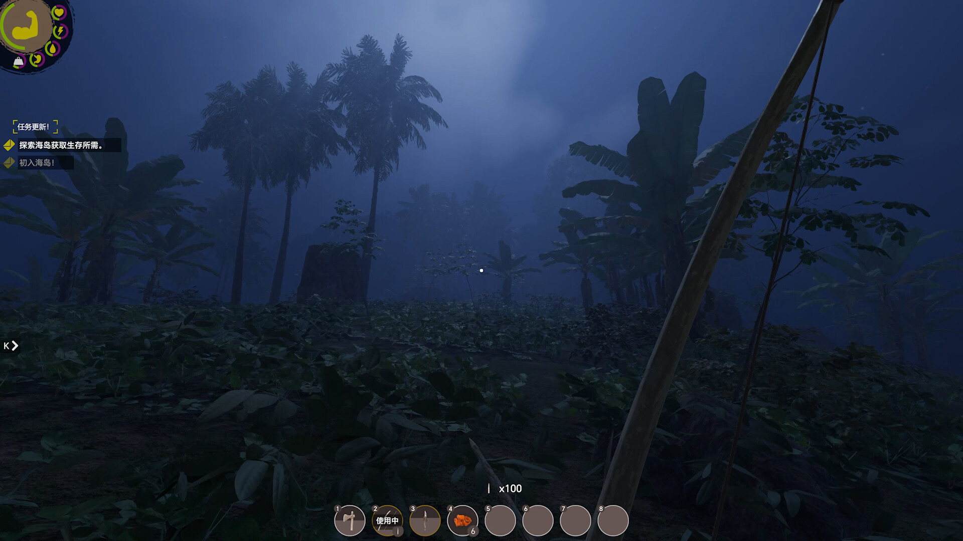 Island Notes