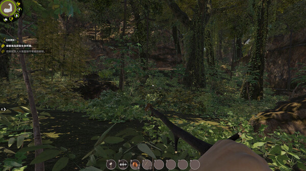Island Notes Screenshot