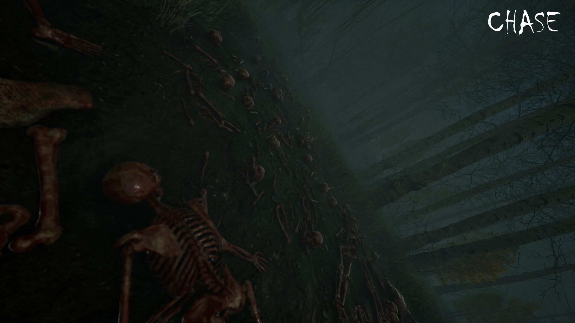 Chase screenshot 17