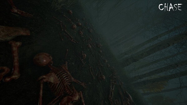 Screenshot z Chase