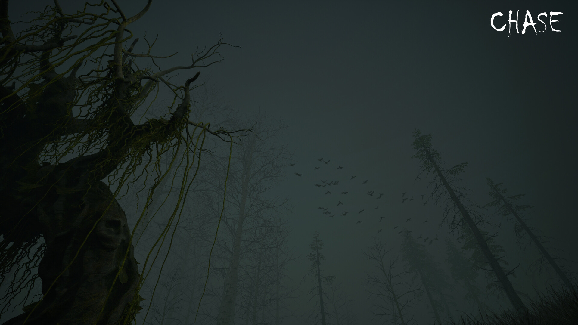 Chase screenshot 13
