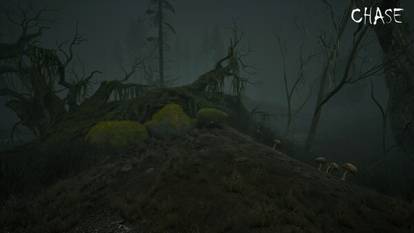 Screenshot z Chase