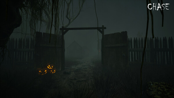 Screenshot z Chase