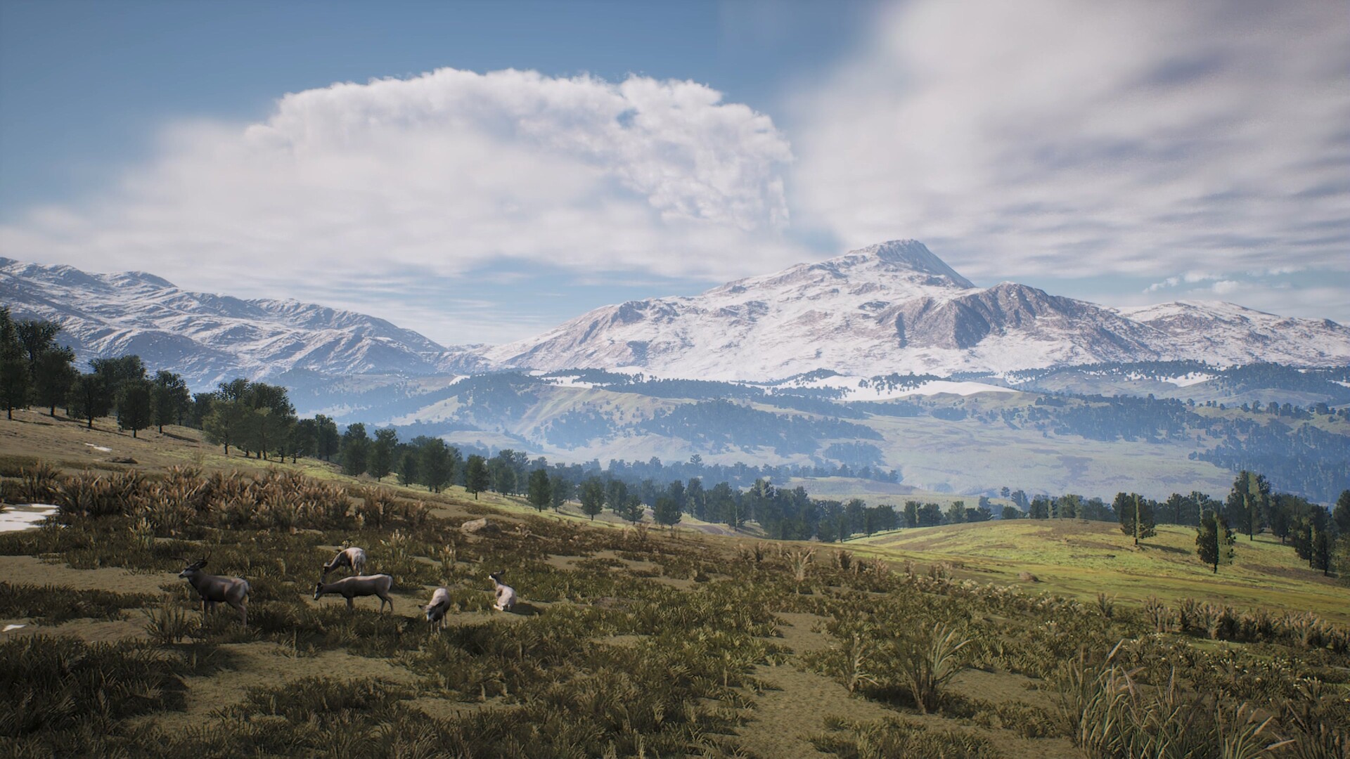 Project Hunt Featured Screenshot #1