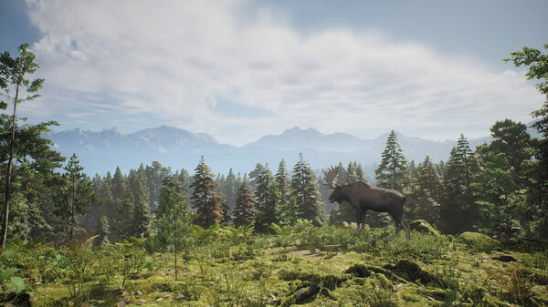 Project Hunt Screenshot
