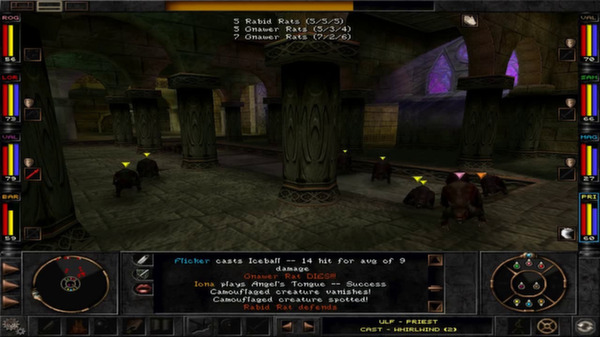 Screenshot z Wizardry 8