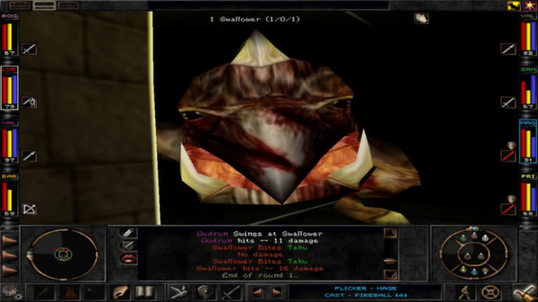 Screenshot z Wizardry 8