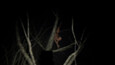 Screenshot #7