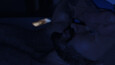 Screenshot #1