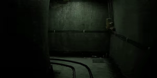 Zoochosis video 3