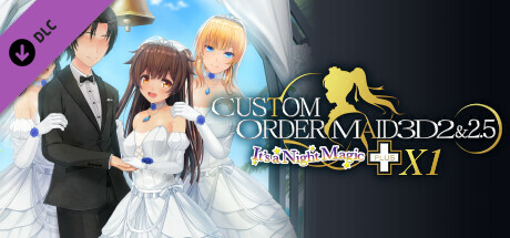 CUSTOM ORDER MAID 3D2&2.5+X1