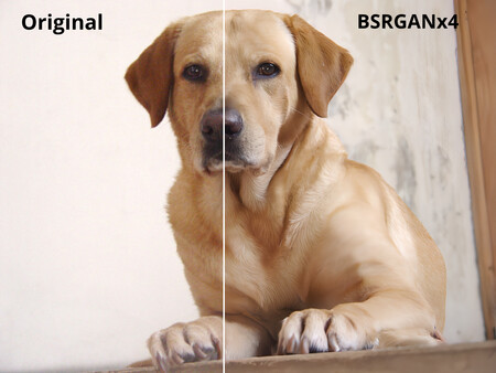 Screenshot z QualityScaler Screenshot z QualityScaler