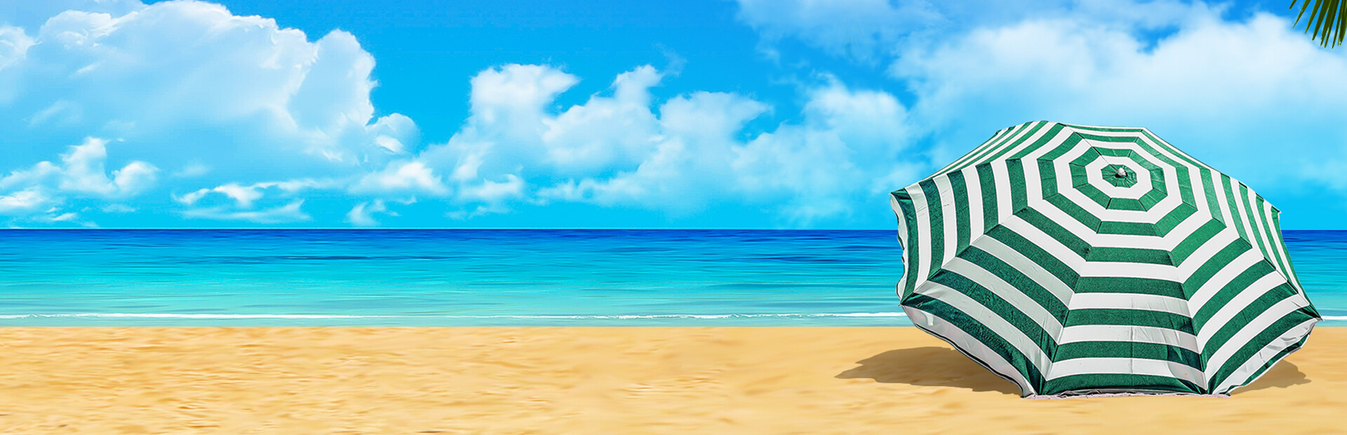 Vacation Paradise: Florida Collector's Edition