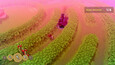 Screenshot #12