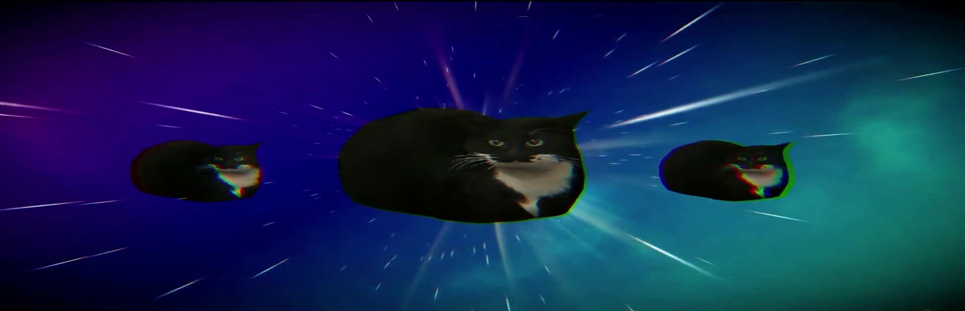 Push That Cat!!