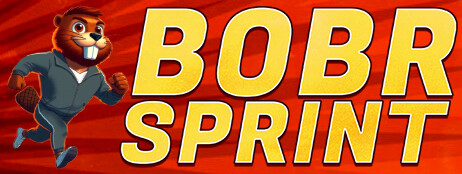 BOBR SPRINT cover art