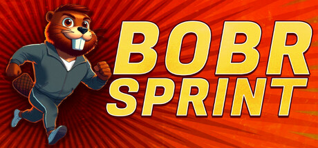BOBR SPRINT cover art