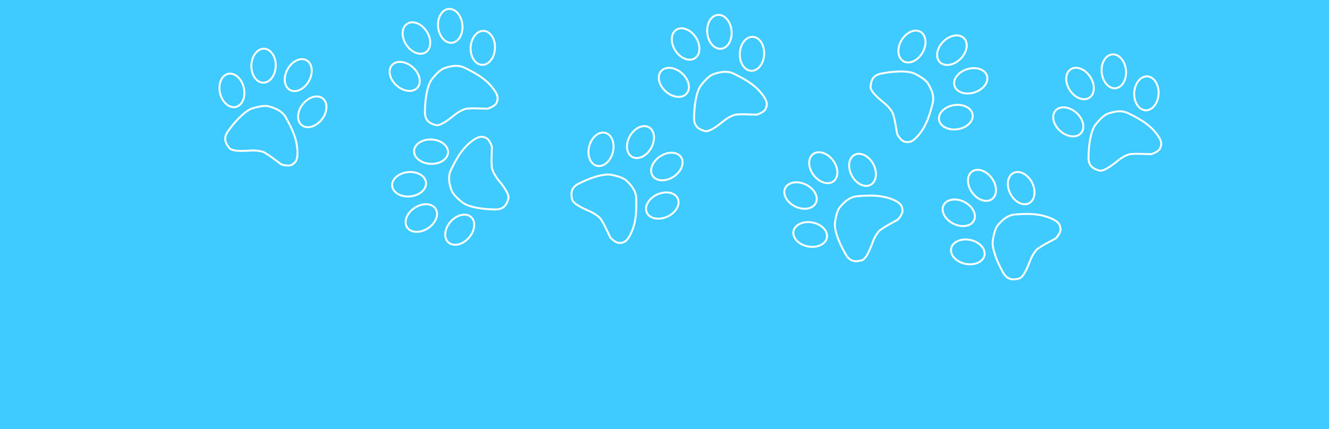 Pet Shop World