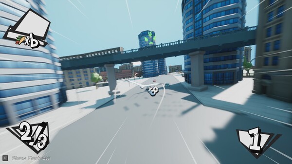 Seagull Kart Racing.