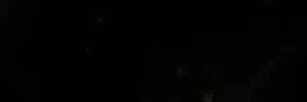 Frogreign video 7