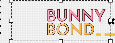 BUNNY BOND