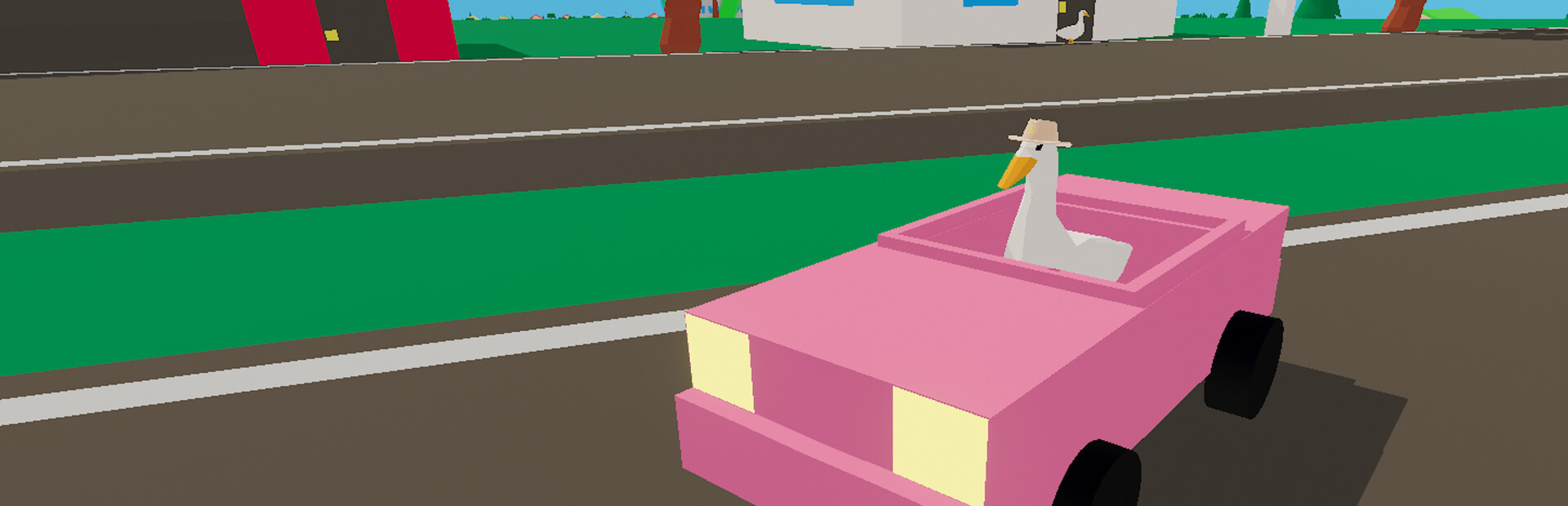 Ducks Can Drive