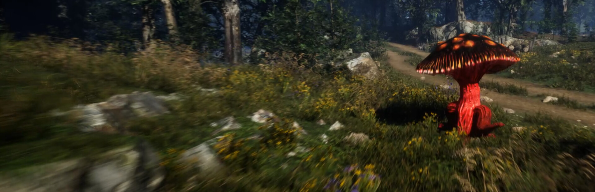 Forest Frenzy