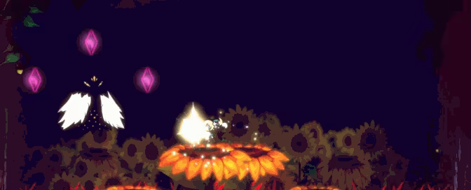 Florarium video 4