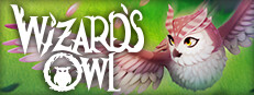 Wizards Owl: Magic Delivery