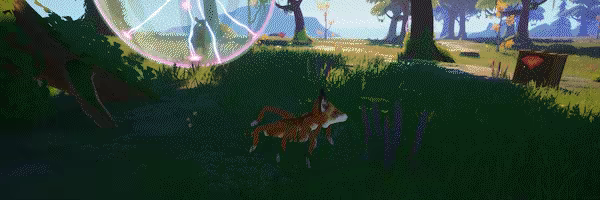 Spider Fox video 6