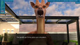 Screenshot #8