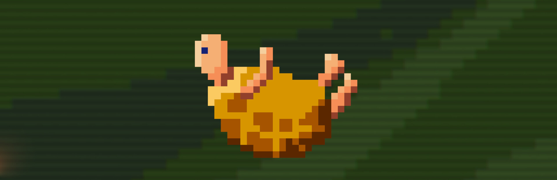 TurtleQuest