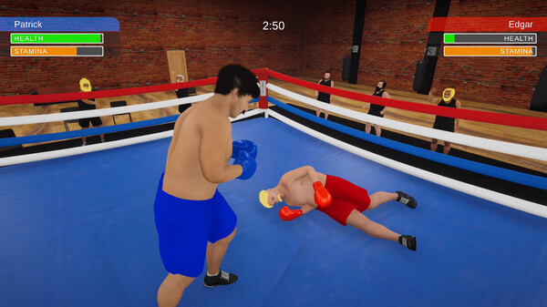 Boxing Simulatorfor windows and Linux 1