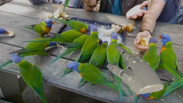 Touchly Volumetric VR Video Player screenshot 1