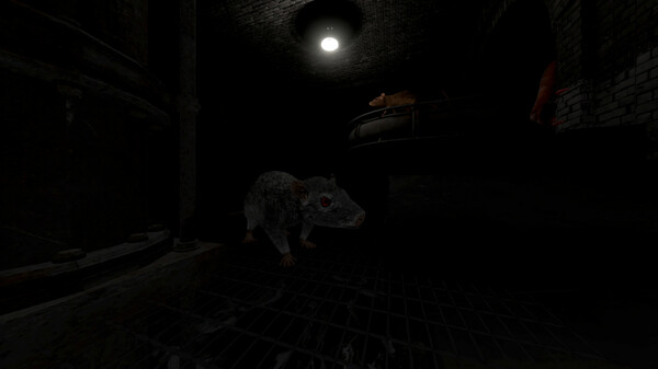 Scamper